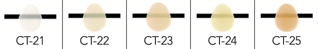Cervical Traslucido